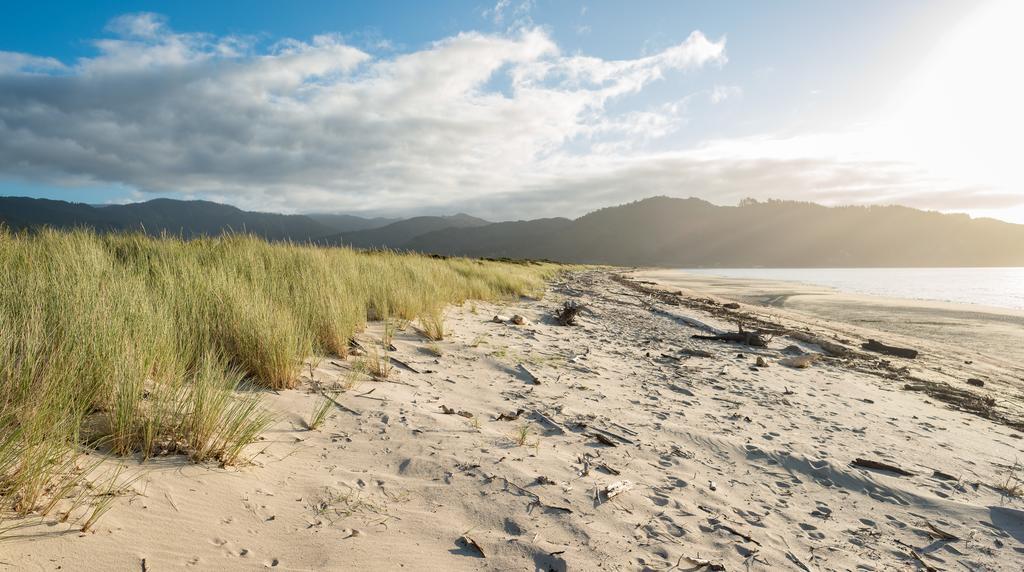 Golden Bay Hideaway Villa Takaka Eksteriør billede